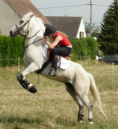 momo sur son dada !!!