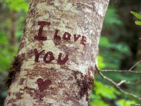 I lOve yOu !!!